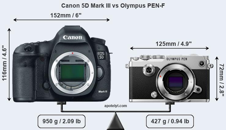 Size Canon 5D Mark III vs Olympus PEN-F