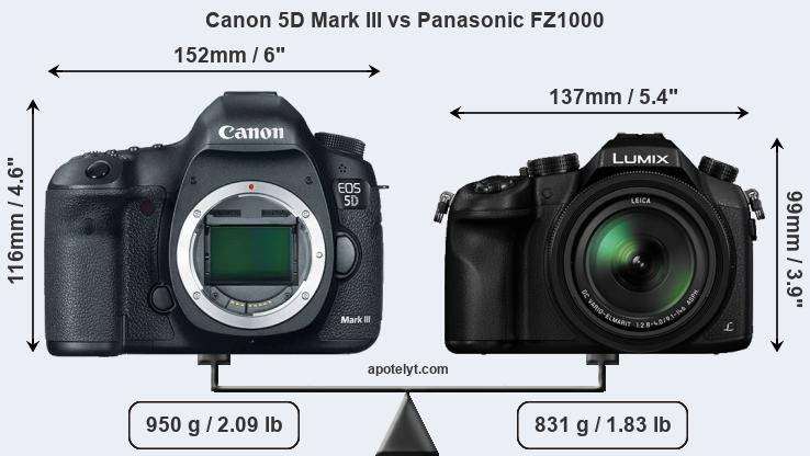 Size Canon 5D Mark III vs Panasonic FZ1000