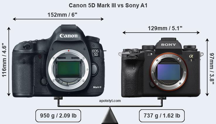 Size Canon 5D Mark III vs Sony A1