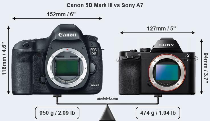 Size Canon 5D Mark III vs Sony A7