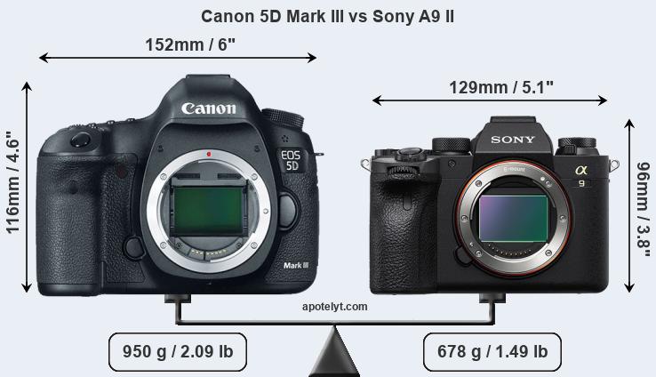 Size Canon 5D Mark III vs Sony A9 II
