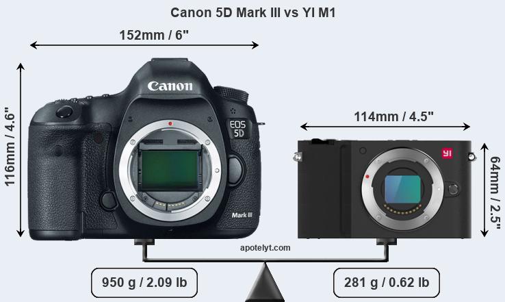 Size Canon 5D Mark III vs YI M1