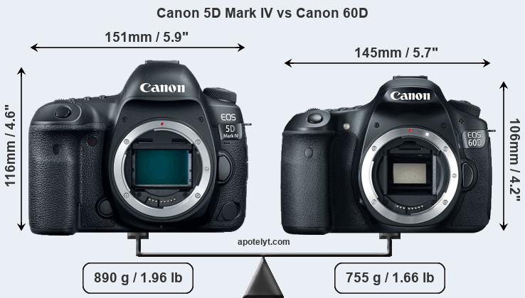 Size Canon 5D Mark IV vs Canon 60D