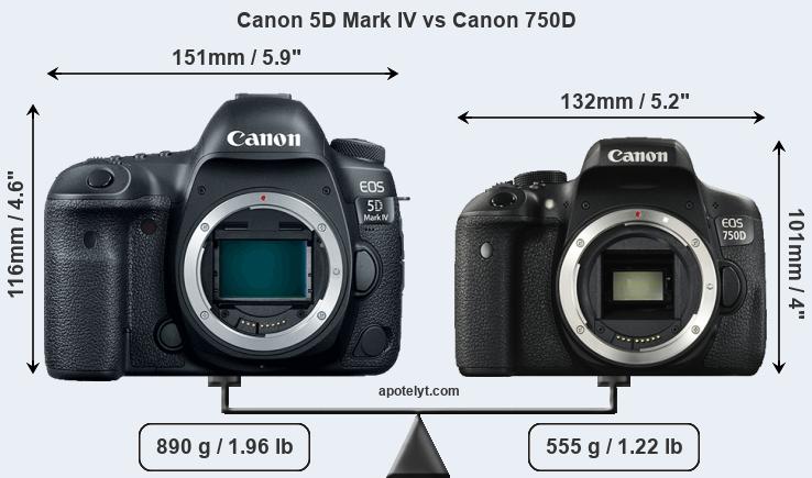 Size Canon 5D Mark IV vs Canon 750D