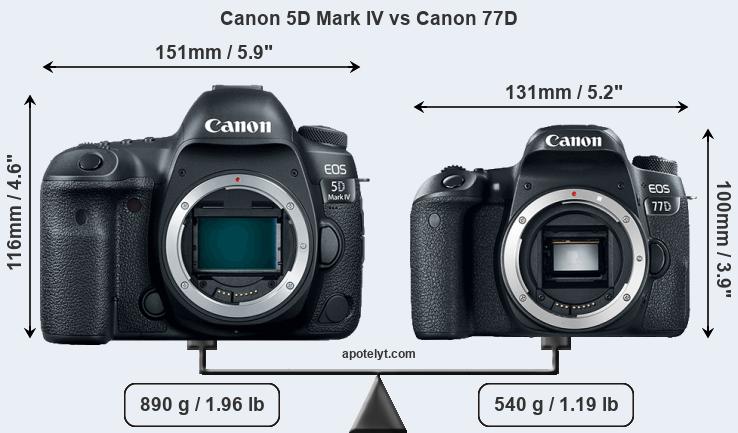 Size Canon 5D Mark IV vs Canon 77D
