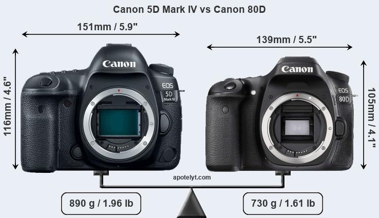 Size Canon 5D Mark IV vs Canon 80D