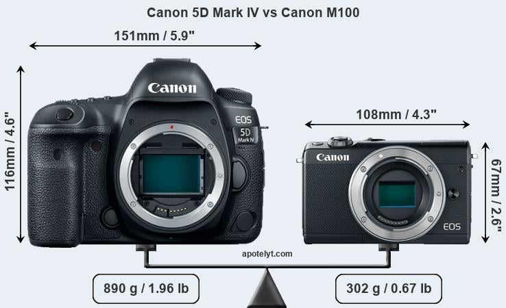 Size Canon 5D Mark IV vs Canon M100