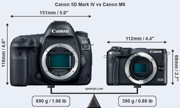 Size Canon 5D Mark IV vs Canon M6