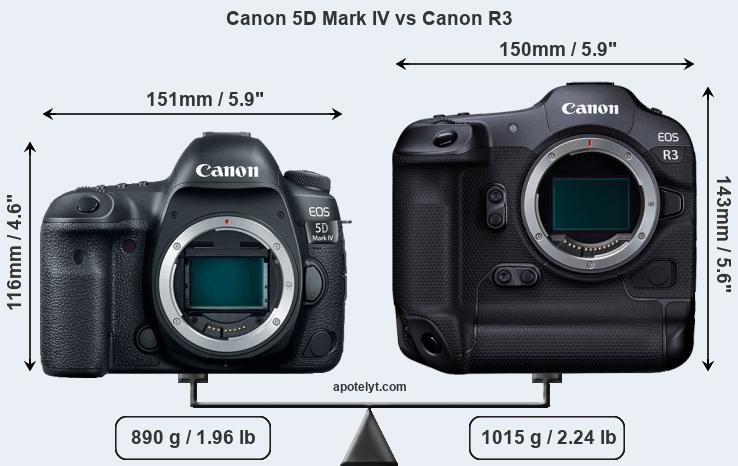 Size Canon 5D Mark IV vs Canon R3