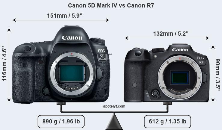 Size Canon 5D Mark IV vs Canon R7