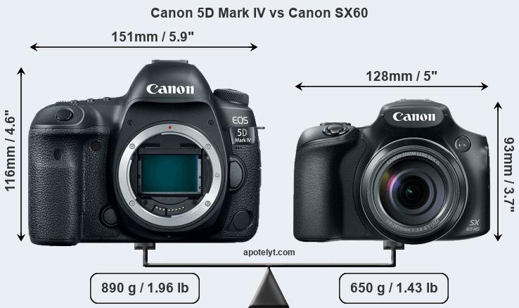 Size Canon 5D Mark IV vs Canon SX60