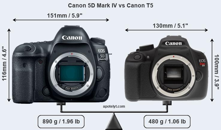 Size Canon 5D Mark IV vs Canon T5