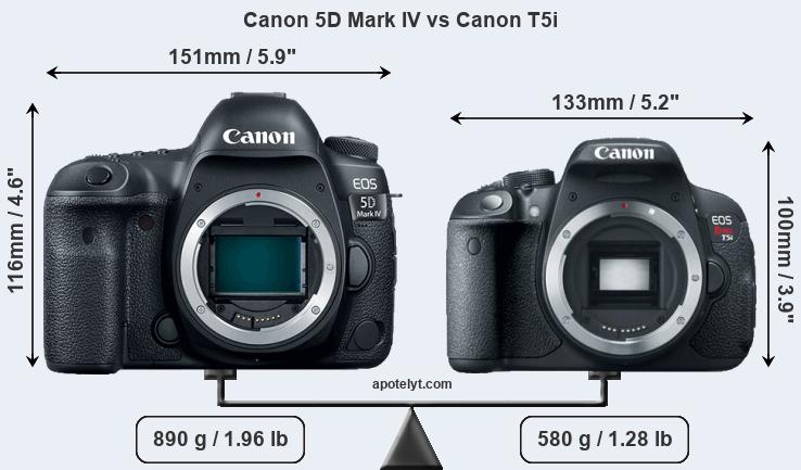 Size Canon 5D Mark IV vs Canon T5i