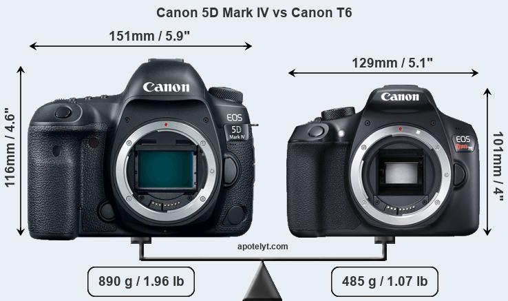Size Canon 5D Mark IV vs Canon T6