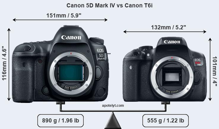 Size Canon 5D Mark IV vs Canon T6i