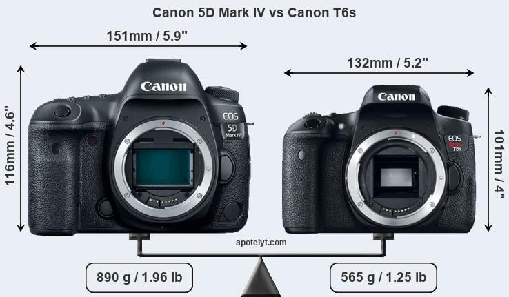 Size Canon 5D Mark IV vs Canon T6s
