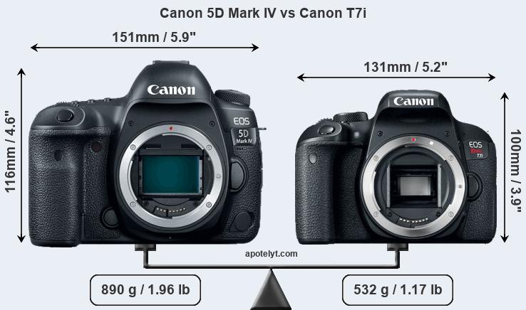 Size Canon 5D Mark IV vs Canon T7i