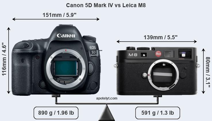 Size Canon 5D Mark IV vs Leica M8