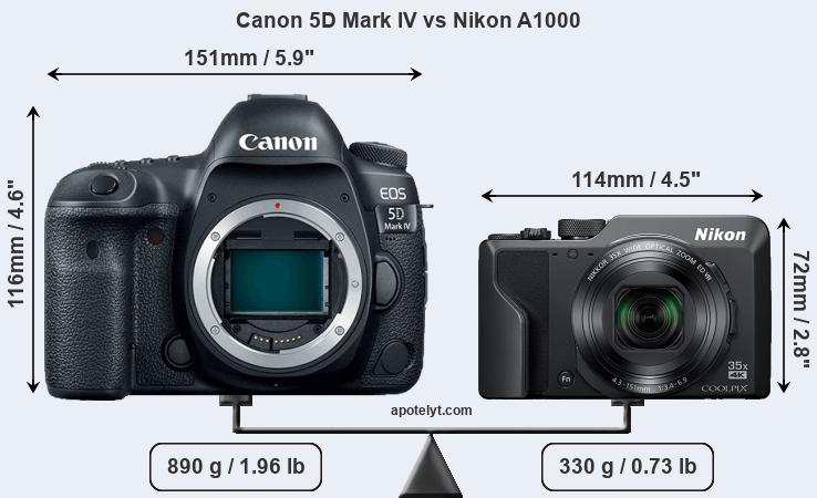 Size Canon 5D Mark IV vs Nikon A1000