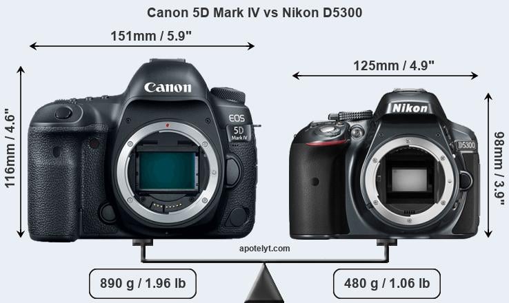 Size Canon 5D Mark IV vs Nikon D5300