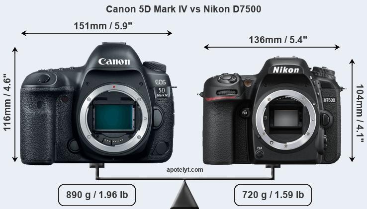 Size Canon 5D Mark IV vs Nikon D7500