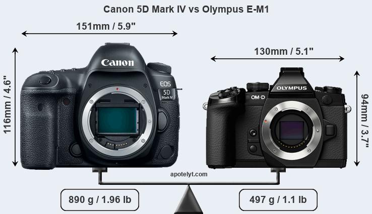 Size Canon 5D Mark IV vs Olympus E-M1