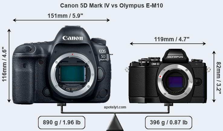Size Canon 5D Mark IV vs Olympus E-M10