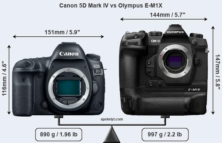 Canon mark сравнение. Canon 5d Mark 4. Canon EOS 5d Mark IV коробка. Canon 4d Mark 2. EOS 5d Mark IV Camera Canon err 20.