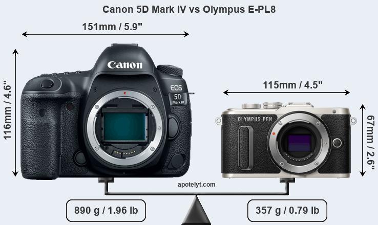 Size Canon 5D Mark IV vs Olympus E-PL8