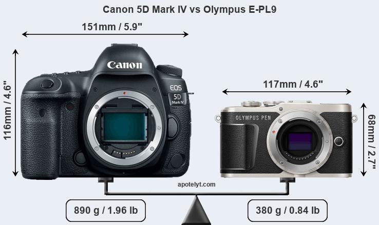 Size Canon 5D Mark IV vs Olympus E-PL9
