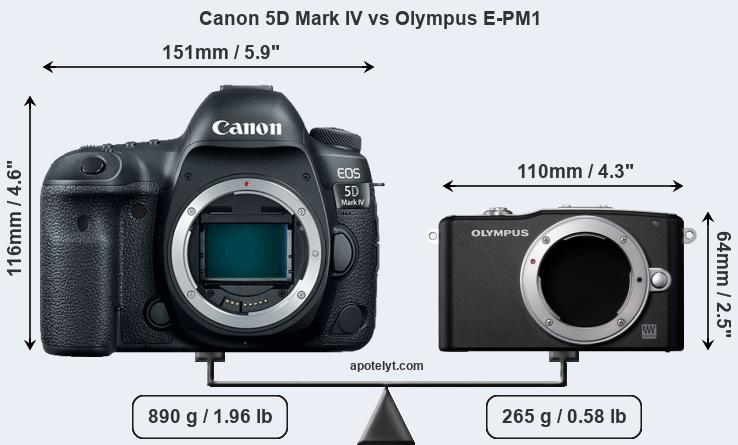 Size Canon 5D Mark IV vs Olympus E-PM1