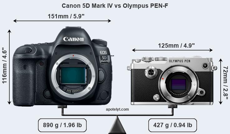 Size Canon 5D Mark IV vs Olympus PEN-F