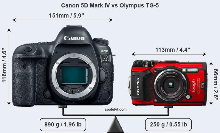 Size Canon 5D Mark IV vs Olympus TG-5