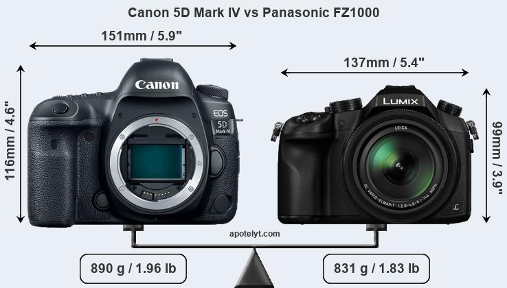 Size Canon 5D Mark IV vs Panasonic FZ1000