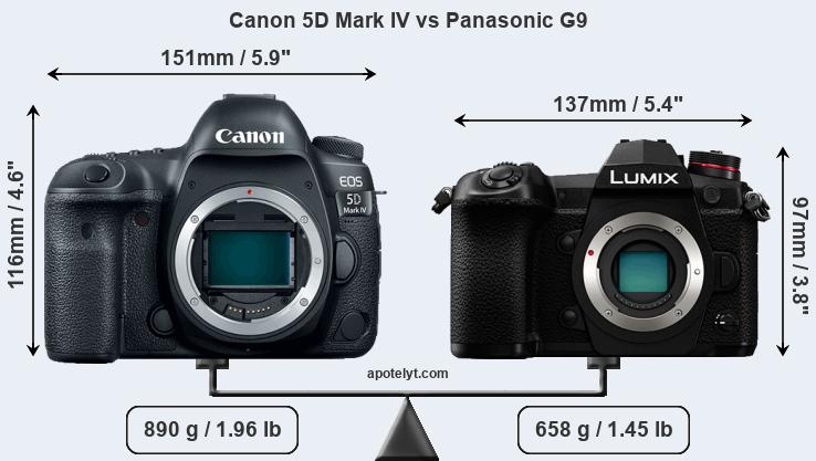 Size Canon 5D Mark IV vs Panasonic G9