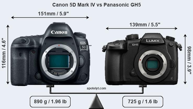 Size Canon 5D Mark IV vs Panasonic GH5