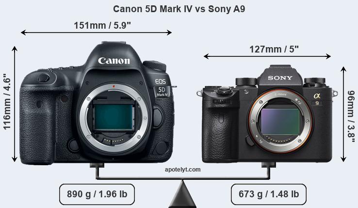 Size Canon 5D Mark IV vs Sony A9
