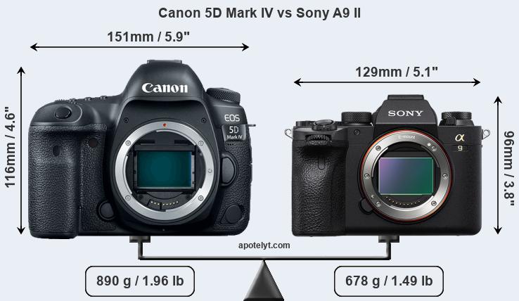 Size Canon 5D Mark IV vs Sony A9 II
