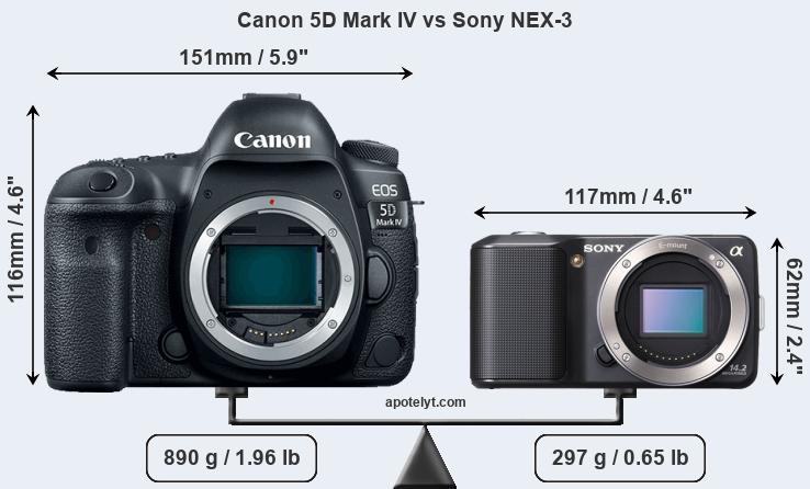 Size Canon 5D Mark IV vs Sony NEX-3