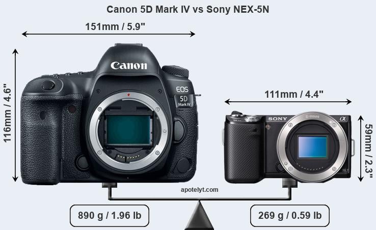 Size Canon 5D Mark IV vs Sony NEX-5N