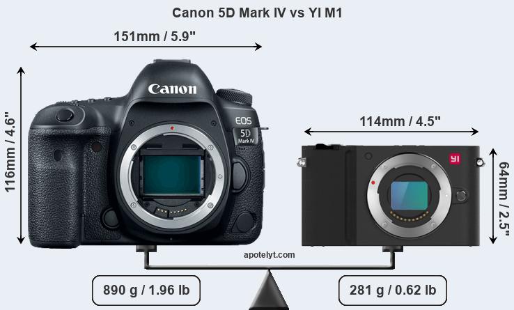 Size Canon 5D Mark IV vs YI M1