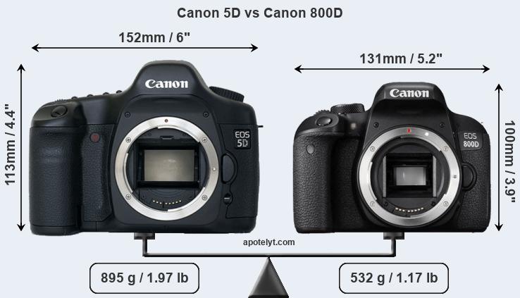 Size Canon 5D vs Canon 800D