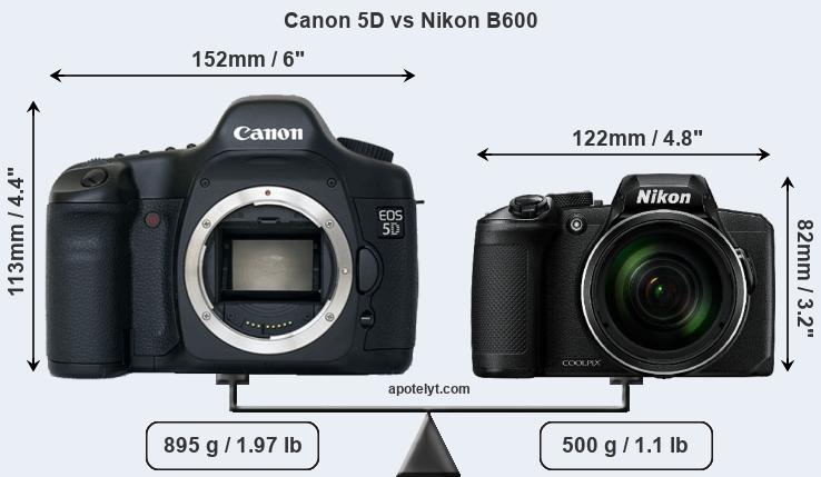 Size Canon 5D vs Nikon B600