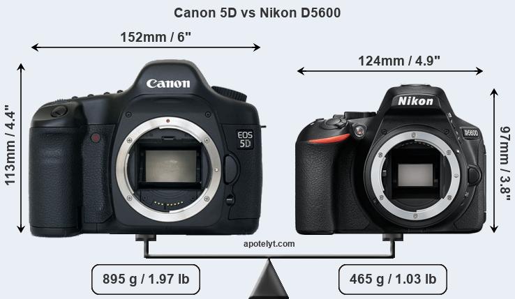 Size Canon 5D vs Nikon D5600