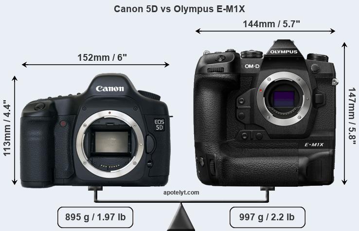 Size Canon 5D vs Olympus E-M1X