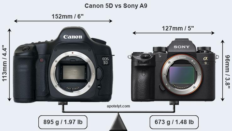 Size Canon 5D vs Sony A9