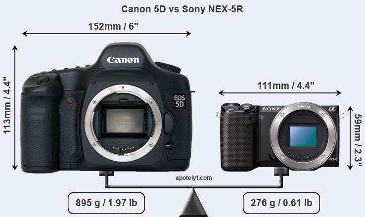 Size Canon 5D vs Sony NEX-5R
