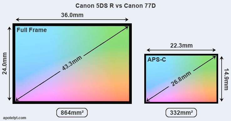 5DS R vs Canon 77D Comparison