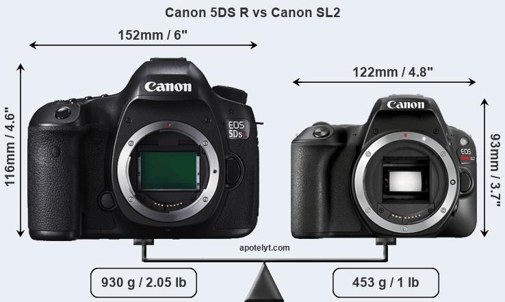 Size Canon 5DS R vs Canon SL2