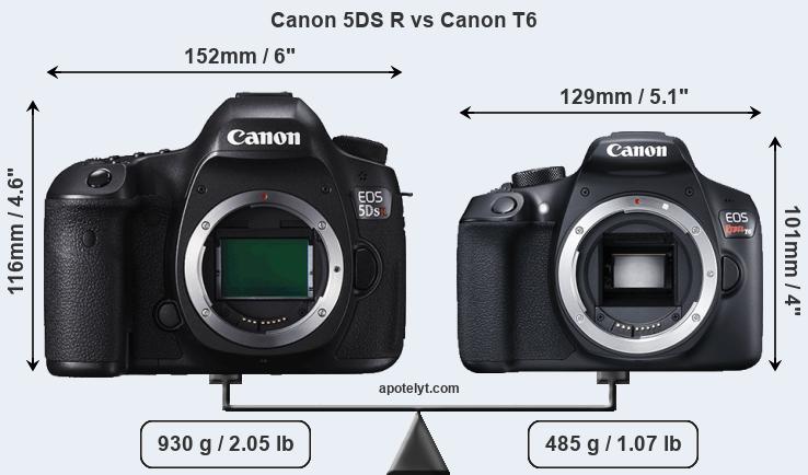 Size Canon 5DS R vs Canon T6